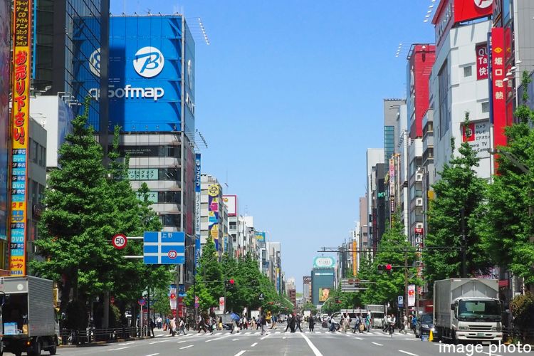 グランセンス吉川美南パークサイドコート・セントラルレジデンスの秋葉原イメージ画像