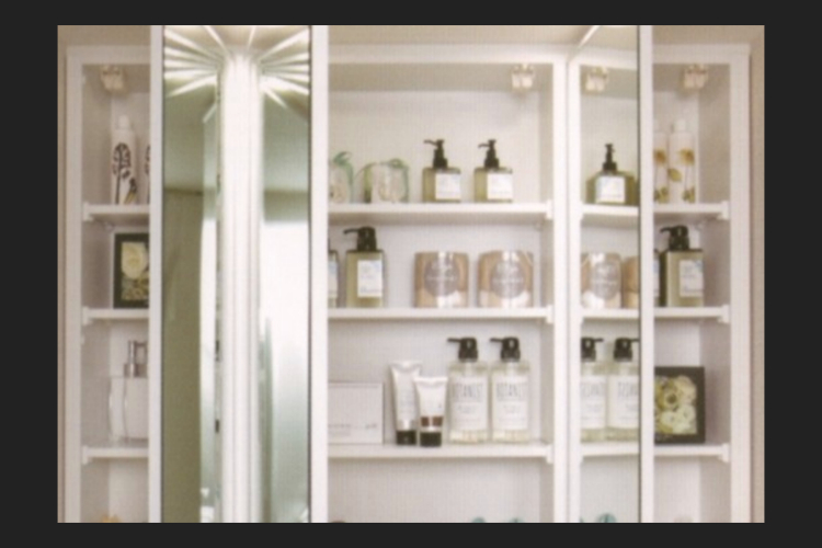 グランセンス吉川美南パークサイドコート・セントラルレジデンスの三面鏡付洗面化粧台