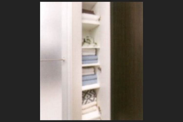 グランセンス吉川美南パークサイドコート・セントラルレジデンスのリネン庫