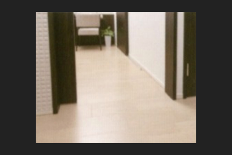 グランセンス吉川美南パークサイドコート・セントラルレジデンスのフラット設計