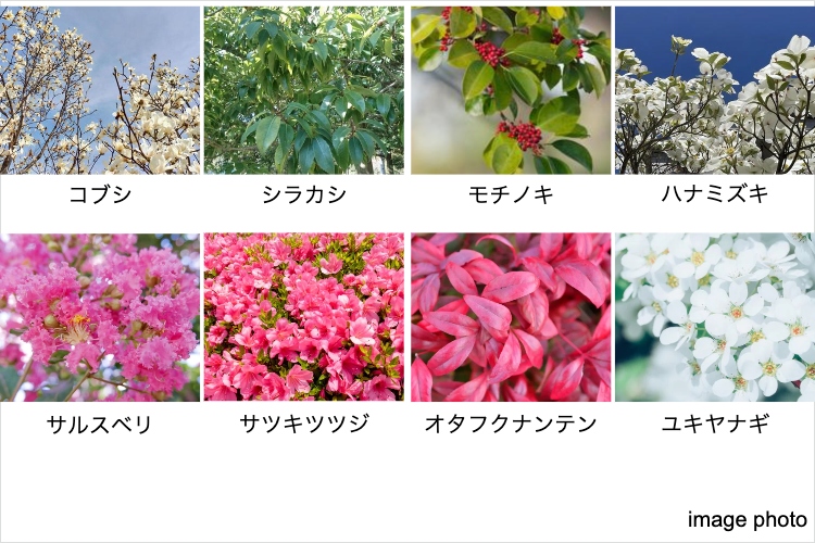 グランセンス吉川美南セントラルレジデンスの植栽イメージ画像