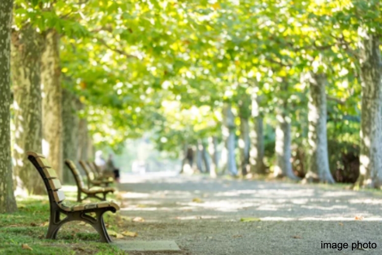グランセンス吉川美南パークサイドコート・セントラルレジデンスの公園・スポーツ・レジャー施設イメージ画像